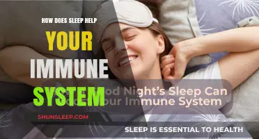 Sleep's Power: Boosting Immunity and Fighting Illness Naturally