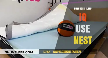 Sleep IQ and Nest: A Smart Sleep Solution