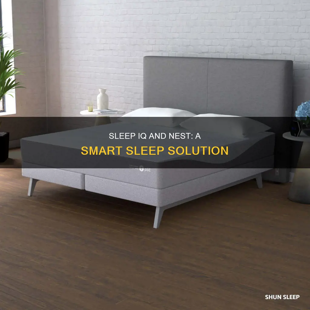 how does sleep iq use nest