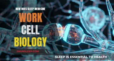 Sleep Medicine: Cell Biology's Role Explored