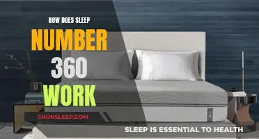 The Sleep Number 360: Understanding the Science of Sleep Technology