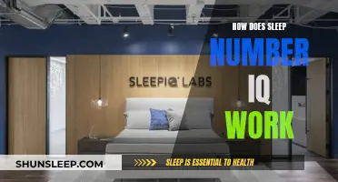 Sleep Number IQ: Understanding the Science of Sleep Technology