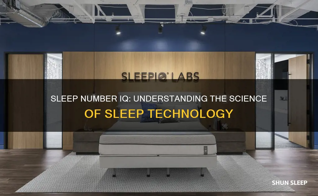 how does sleep number iq work