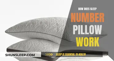 Sleep Number Pillow: Understanding the Science of Sleep
