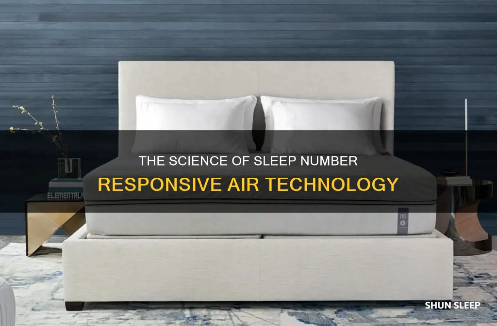 how does sleep number responsive air work