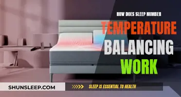 Temperature-Regulating Sleep Number: How Does It Work?