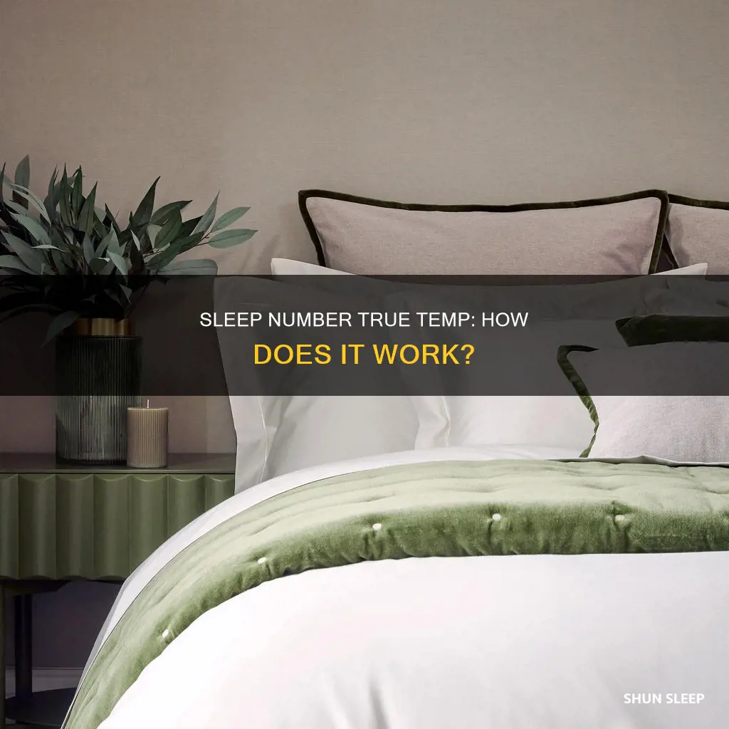 how does sleep number true temp work