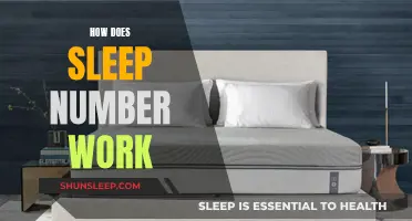 Sleep Number: Understanding the Science of Sleep