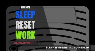 Sleep Reset: A Natural Recharge for Mind and Body