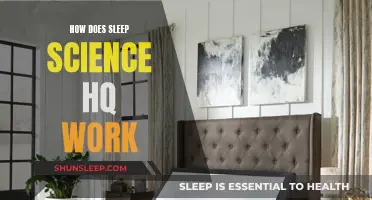 Sleep Science HQ: Understanding the Science Behind Sleep