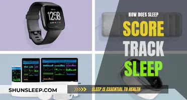 Sleep Scores: Tracking Sleep Quality Indicators