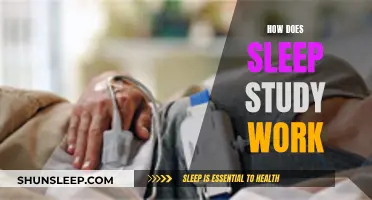 Sleep Study: Understanding the Science of Sleep
