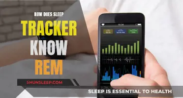 Sleep Trackers: Understanding Your REM Sleep Patterns