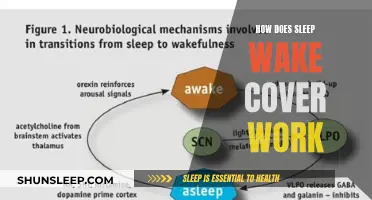 Unveiling the Mystery: How Sleep-Wake Cycles Work