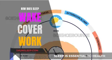 Understanding Sleep-Wake: Covering the Basics of Sleep Science