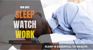 Sleep Watch: Understanding the Science Behind Your Slumber