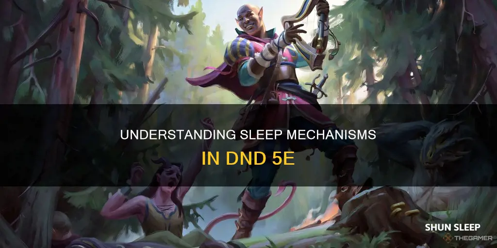 how does sleep work dnd 5e