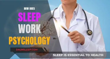 Understanding Sleep: A Psychological Perspective
