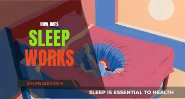 Understanding Sleep: Unraveling the Science of Slumber