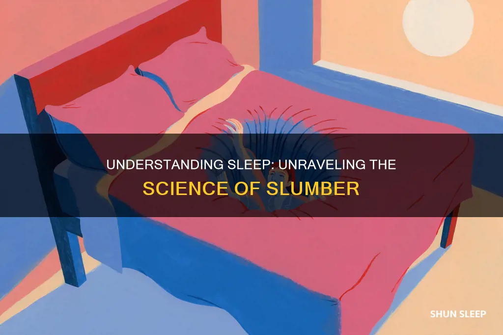how does sleep works