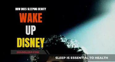 The Awakening of Sleeping Beauty: Disney's Spellbound Princess