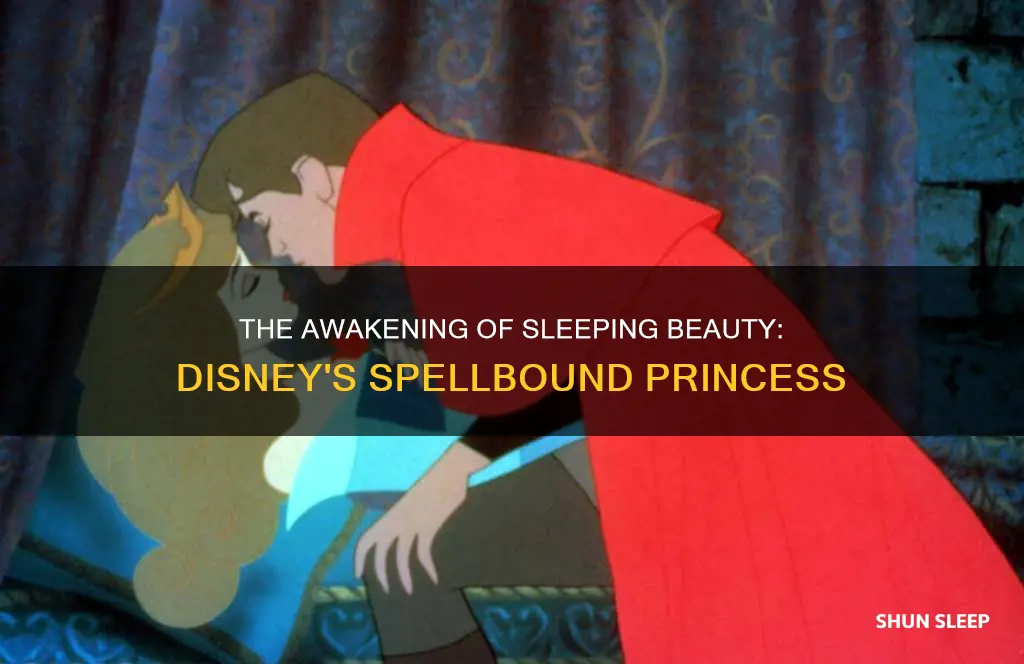 how does sleeping beauty wake up disney