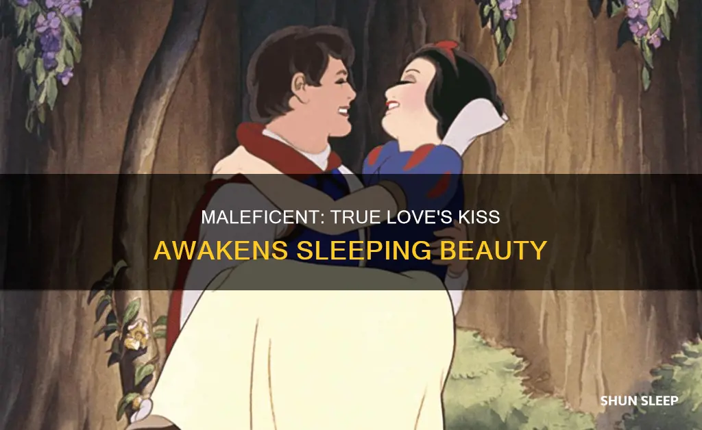 how does sleeping beauty wake up in maleficent