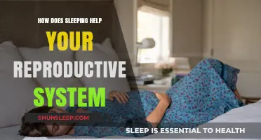 Sleep's Vital Role in Supporting Reproductive Health and Function
