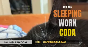 Understanding Sleep Mechanics in CDDA