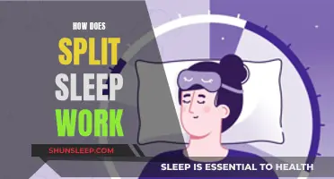 Understanding Split Sleep: The Science Behind Segmented Slumber