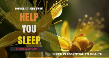 St. John's Wort: Natural Sleep Aid Benefits and Usage Tips