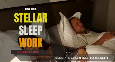 Understanding the Science of Stellar Sleep