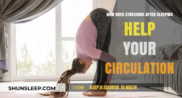Wake Up and Stretch: Boosting Circulation After Sleep