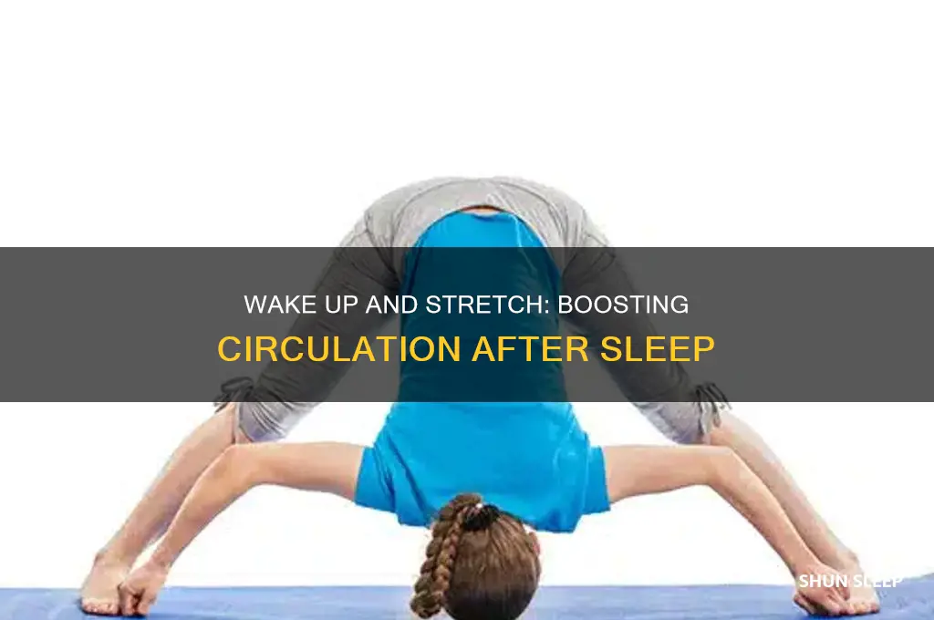 how does streching after sleeping help your circulation