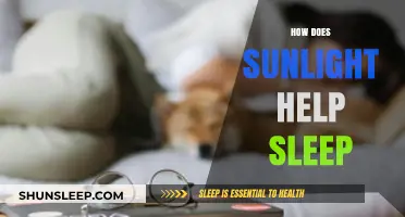 Sunlight's Role in Regulating Sleep Patterns and Enhancing Rest