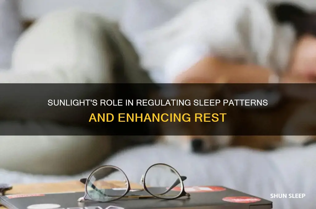 how does sunlight help sleep