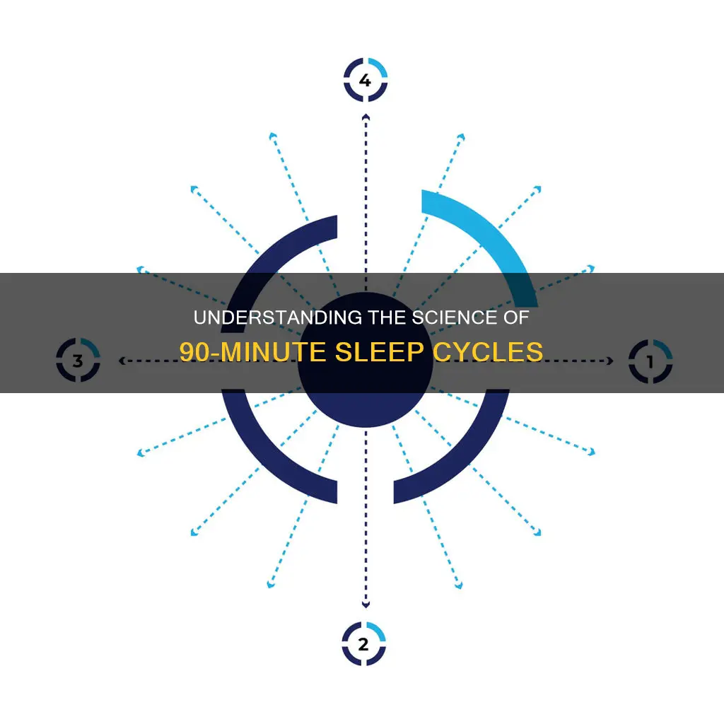 how does the 90 minute sleep cycle work