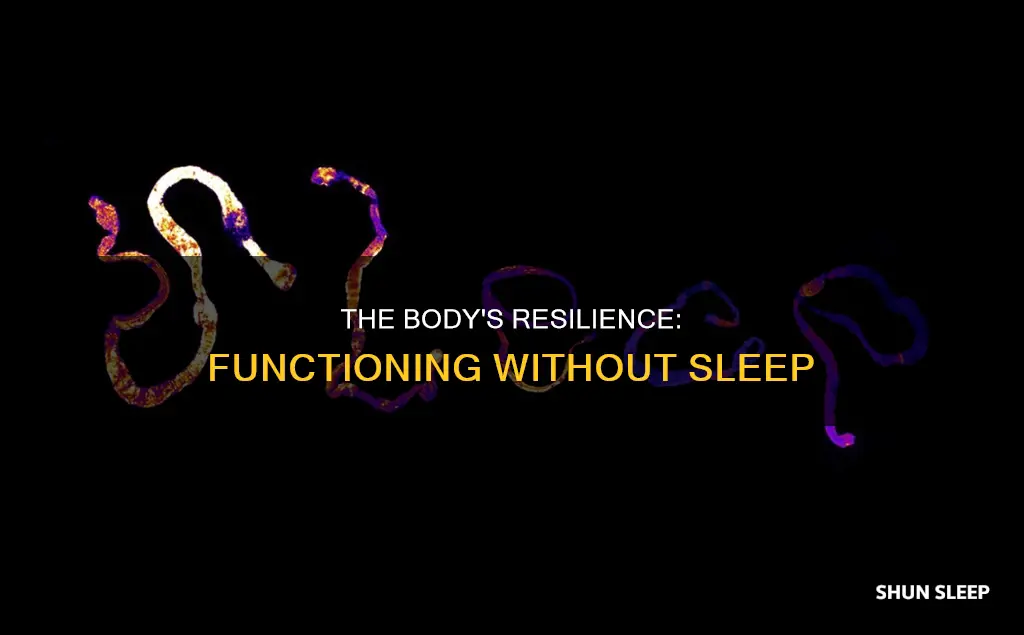 how does the body functions without sleep