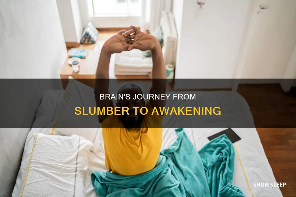how does the brain wake up from sleep