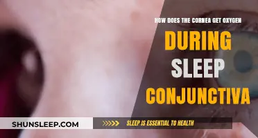 Corneal Oxygen Supply: Understanding Sleep-Time Conjunctiva Role and Function