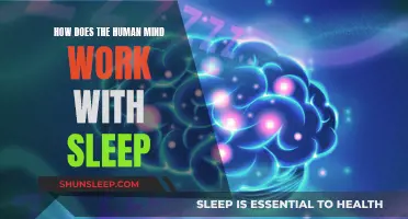 The Mind's Night Shift: Unraveling Sleep's Mystery