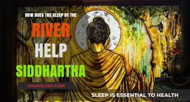 Sleeping by the River: Siddhartha's Path to Inner Peace and Enlightenment