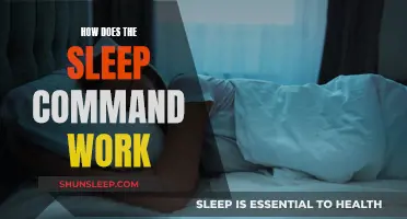 Understanding the Functionality of the Sleep Command
