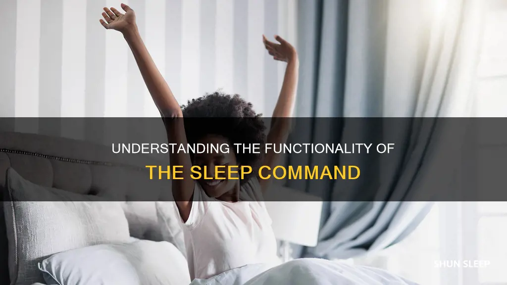 how does the sleep command work