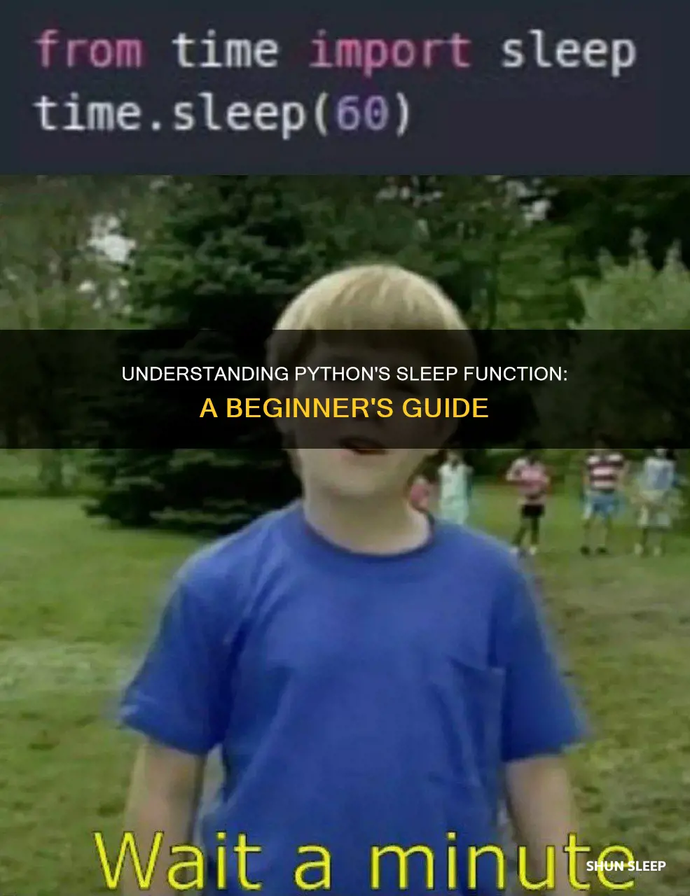 how does the sleep function work in python