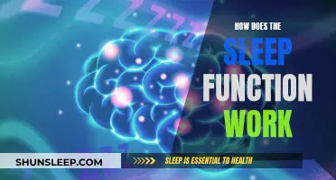 Understanding Sleep Functionality: A Guide to Sleep's Workings