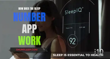 Sleep Number App: Understanding the Science of Sleep