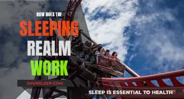 The Science of Sleep: Understanding the Sleeping Realm