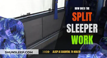 Understanding the Split Sleeper Berth Rule and Its Working