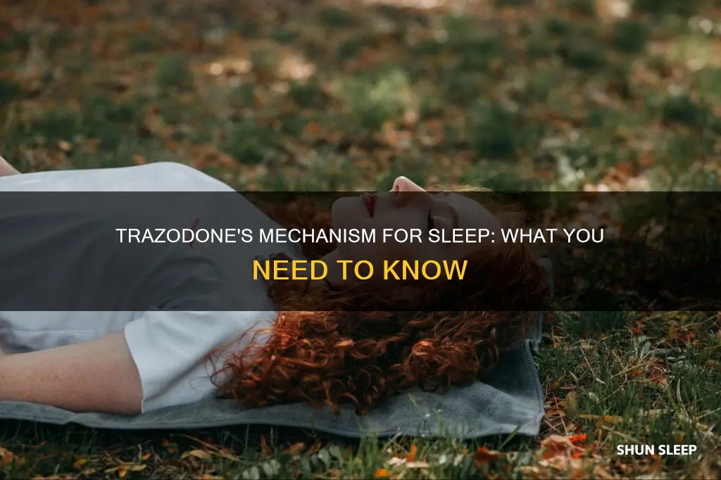 how does trazadone work for sleep